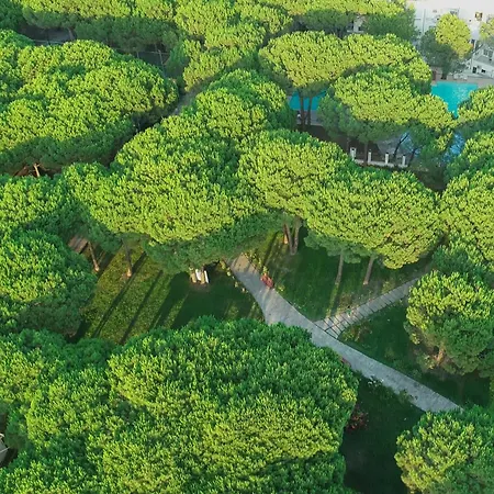 ماريا منتجع