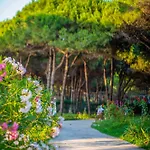 Marea Golem (Tirana)