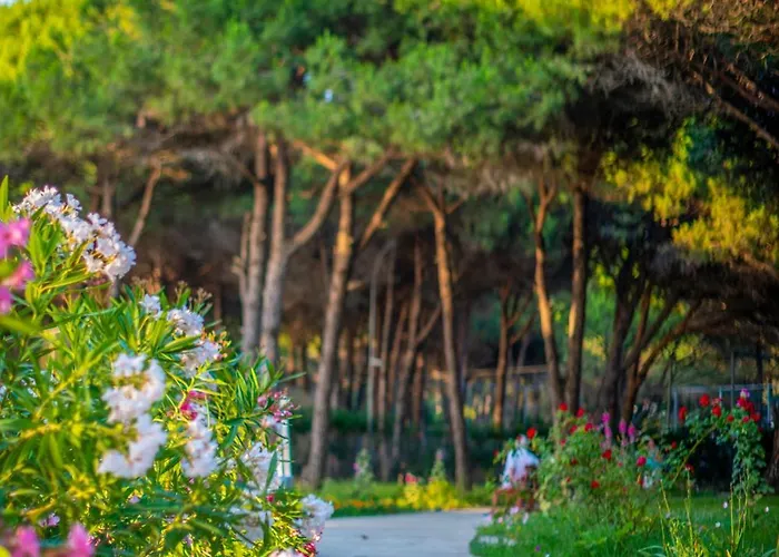 Marea Golem (Tirana)